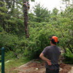 MJ Enright & Sons Tree Service, Ontario, Ottawa