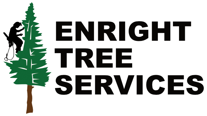 Enright Tree Services logo